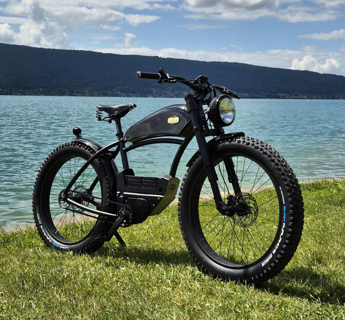 Vélo électrique haut de gamme France